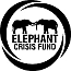 Elephant Crisis Found 